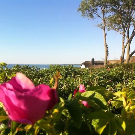 Tatil Evi Beach-friendly - Baltic *